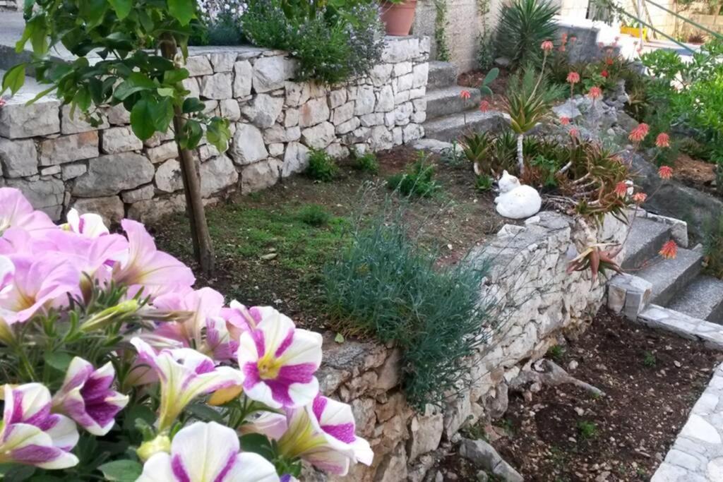 Mljet 2 You - Seafront Apartment 2+2 Sobra المظهر الخارجي الصورة